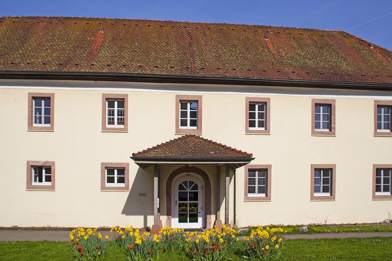 Schloss Beuggen Rheinfelden  Dış mekan fotoğraf