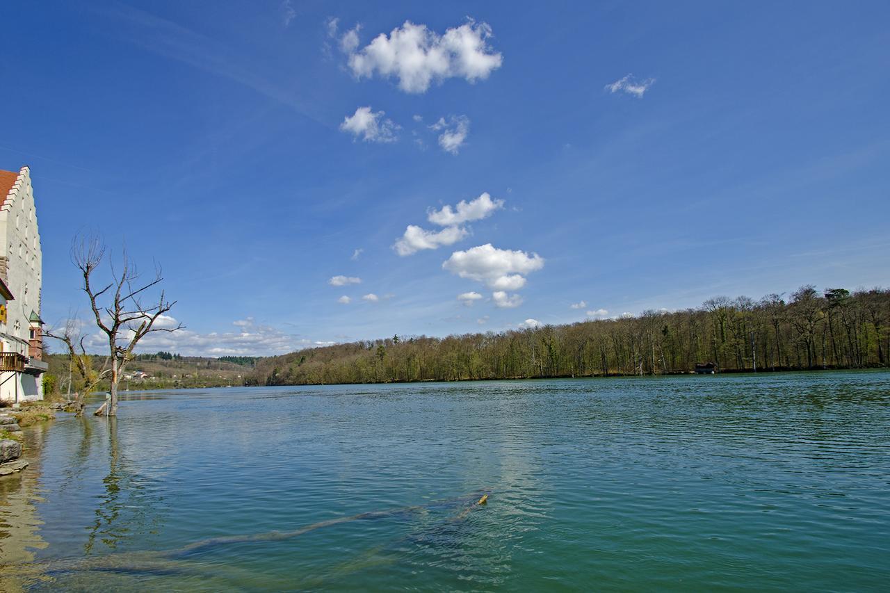 Schloss Beuggen Rheinfelden  Dış mekan fotoğraf